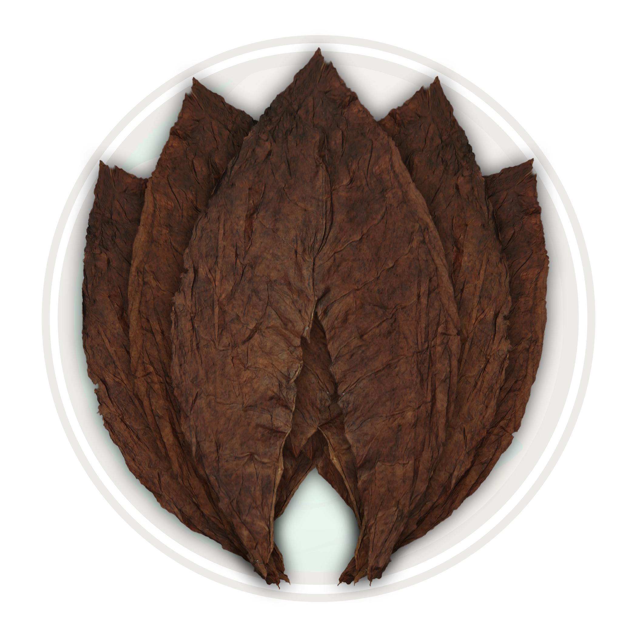 Dominican Ligero Criollo '98 Cigar Filler Tobacco Leaf